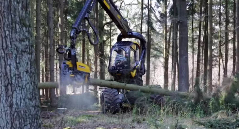 tree-cutting-machine
